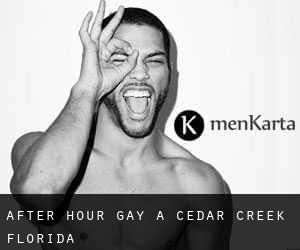 After Hour Gay à Cedar Creek (Florida)