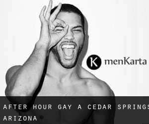 After Hour Gay à Cedar Springs (Arizona)