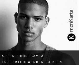 After Hour Gay à Friedrichswerder (Berlin)