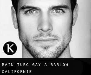 Bain turc Gay à Barlow (Californie)