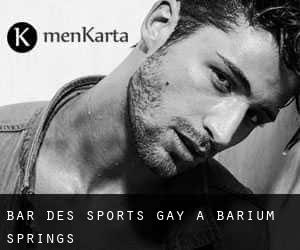 Bar des sports Gay à Barium Springs