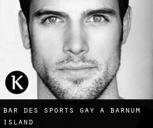 Bar des sports Gay à Barnum Island