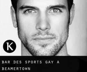 Bar des sports Gay à Beamertown