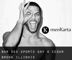 Bar des sports Gay à Cedar Brook (Illinois)