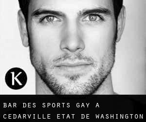Bar des sports Gay à Cedarville (État de Washington)
