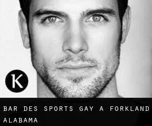 Bar des sports Gay à Forkland (Alabama)