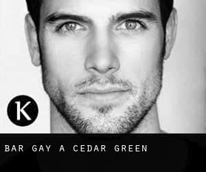 Bar Gay à Cedar Green