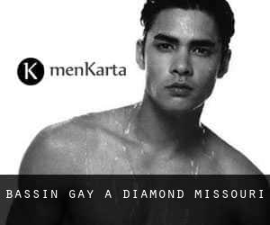 Bassin Gay à Diamond (Missouri)