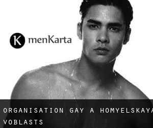 Organisation Gay à Homyelʼskaya Voblastsʼ