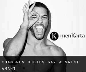 Chambres d'Hôtes Gay à Saint Amant