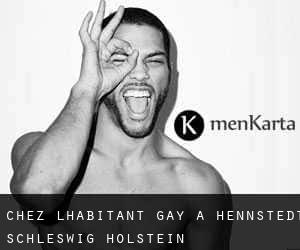 Chez l'Habitant Gay à Hennstedt (Schleswig-Holstein)