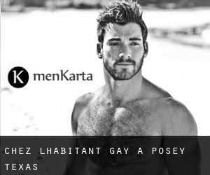 Chez l'Habitant Gay à Posey (Texas)