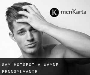 Gay Hotspot à Wayne (Pennsylvanie)