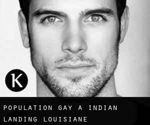 Population Gay à Indian Landing (Louisiane)