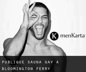 Publique Sauna Gay à Bloomington Ferry