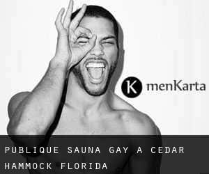 Publique Sauna Gay à Cedar Hammock (Florida)