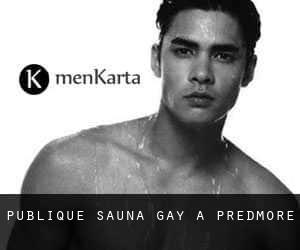 Publique Sauna Gay à Predmore