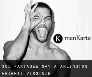Sol partagée Gay à Arlington Heights (Virginie)