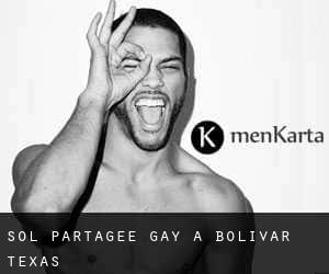 Sol partagée Gay à Bolivar (Texas)