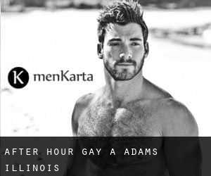 After Hour Gay à Adams (Illinois)