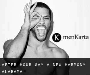 After Hour Gay à New Harmony (Alabama)