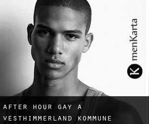 After Hour Gay à Vesthimmerland Kommune