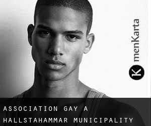 Association Gay à Hallstahammar Municipality