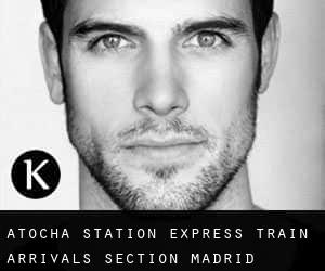 Atocha Station - Express Train Arrivals Section (Madrid)