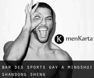 Bar des sports Gay à Mingshui (Shandong Sheng)