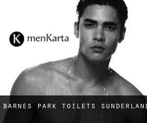 Barnes Park Toilets Sunderland