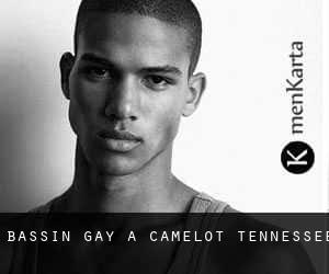 Bassin Gay à Camelot (Tennessee)