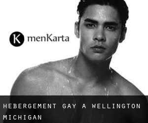 Hébergement Gay à Wellington (Michigan)