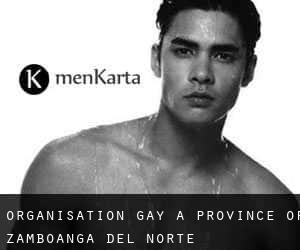 Organisation Gay à Province of Zamboanga del Norte
