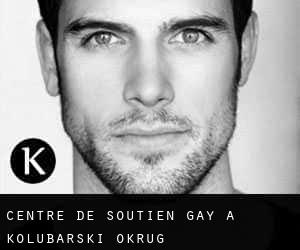 Centre de Soutien Gay à Kolubarski Okrug
