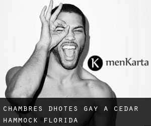 Chambres d'Hôtes Gay à Cedar Hammock (Florida)