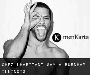 Chez l'Habitant Gay à Burnham (Illinois)