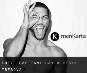 Chez l'Habitant Gay à Česká Třebová