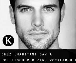 Chez l'Habitant Gay à Politischer Bezirk Vöcklabruck
