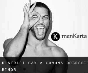 District Gay à Comuna Dobreşti (Bihor)
