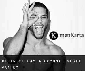 District Gay à Comuna Iveşti (Vaslui)