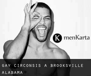 Gay Circonsis à Brooksville (Alabama)