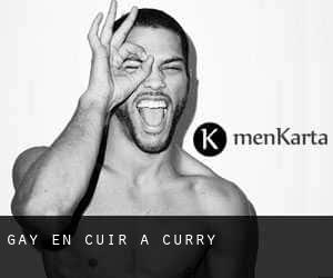 Gay en cuir à Curry