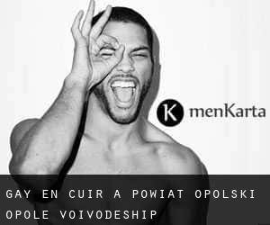 Gay en cuir à Powiat opolski (Opole Voivodeship)
