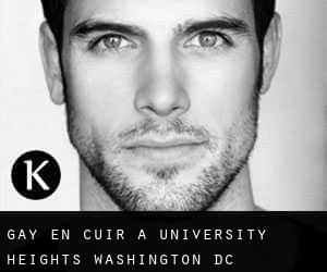 Gay en cuir à University Heights (Washington, D.C.)