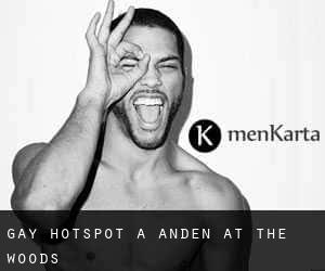 Gay Hotspot à Anden at the Woods