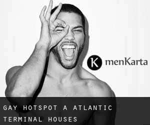 Gay Hotspot à Atlantic Terminal Houses
