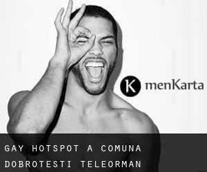 Gay Hotspot à Comuna Dobroteşti (Teleorman)