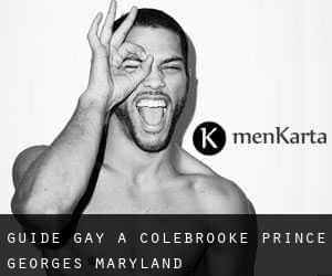 guide gay à Colebrooke (Prince George's, Maryland)