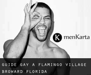 guide gay à Flamingo Village (Broward, Florida)