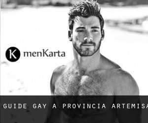 guide gay à Provincia Artemisa